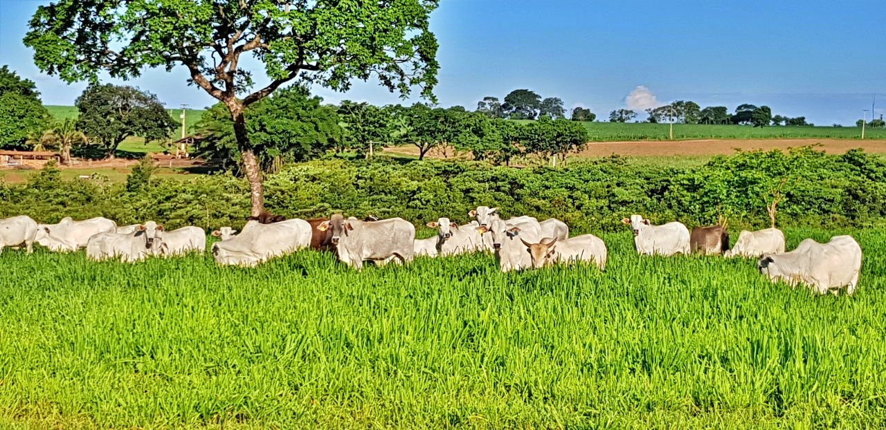 WhatsApp Image 2020-02-16 at 13.23.29.jpeg