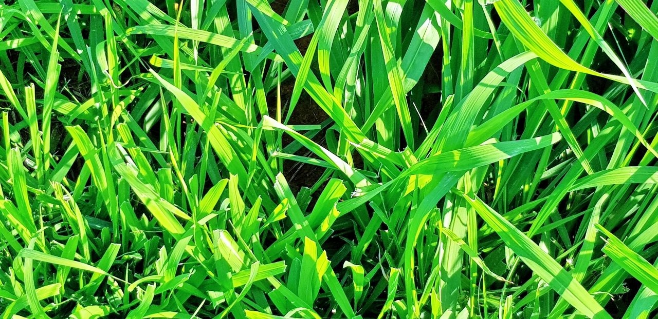 WhatsApp Image 2020-02-16 at 13.25.43.jpeg