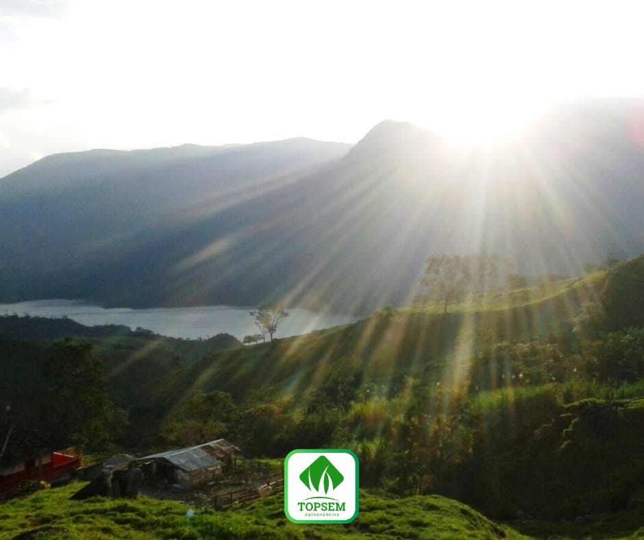 WhatsApp Image 2021-01-28 at 19.42.51.jpeg