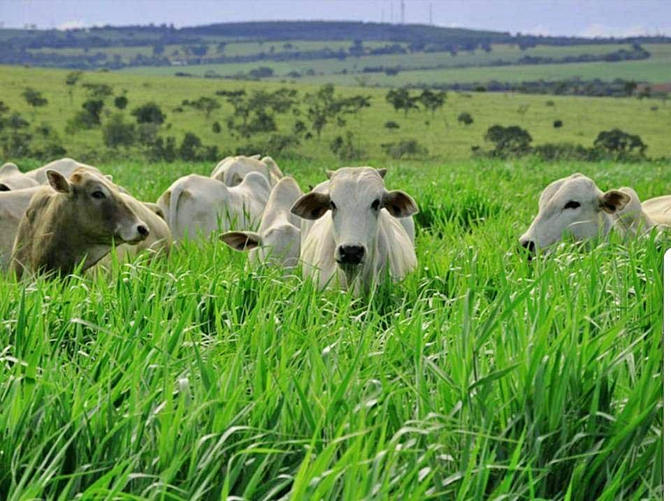 WhatsApp Image 2020-02-16 at 18.22.55.jpeg